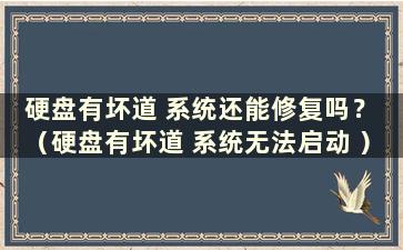 硬盘有坏道 系统还能修复吗？ （硬盘有坏道 系统无法启动 ）